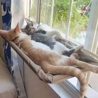 Hamaca Colgante para Gatos
